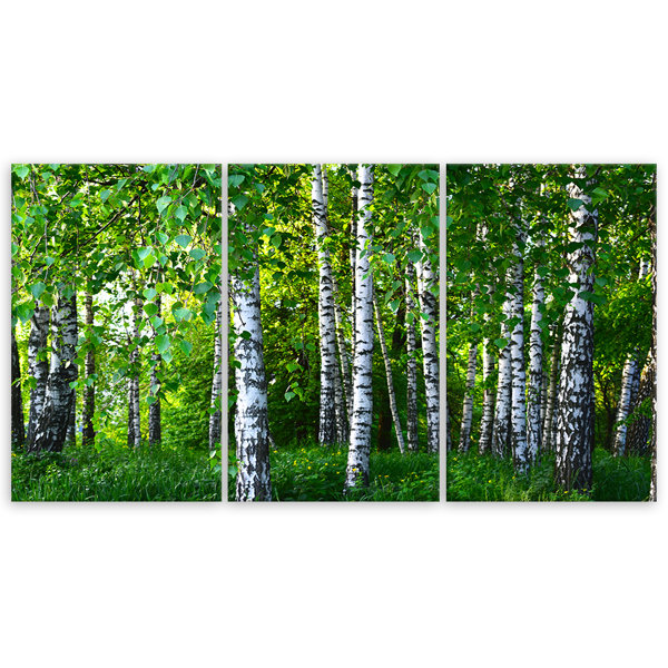 Union Rustic Leinwandbild Birch Forest Green Wayfair De